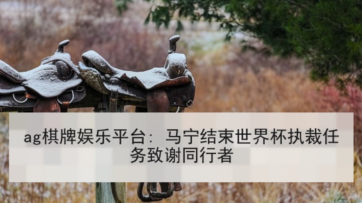 ag棋牌娱乐平台: 马宁结束世界杯执裁任务致谢同行者