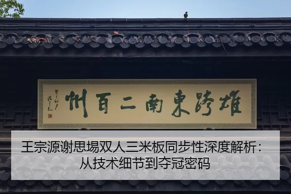 王宗源谢思埸双人三米板同步性深度解析：从技术细节到夺冠密码